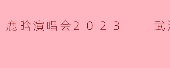 鹿晗2023年在武汉的演唱会有什么特别的亮点吗？****